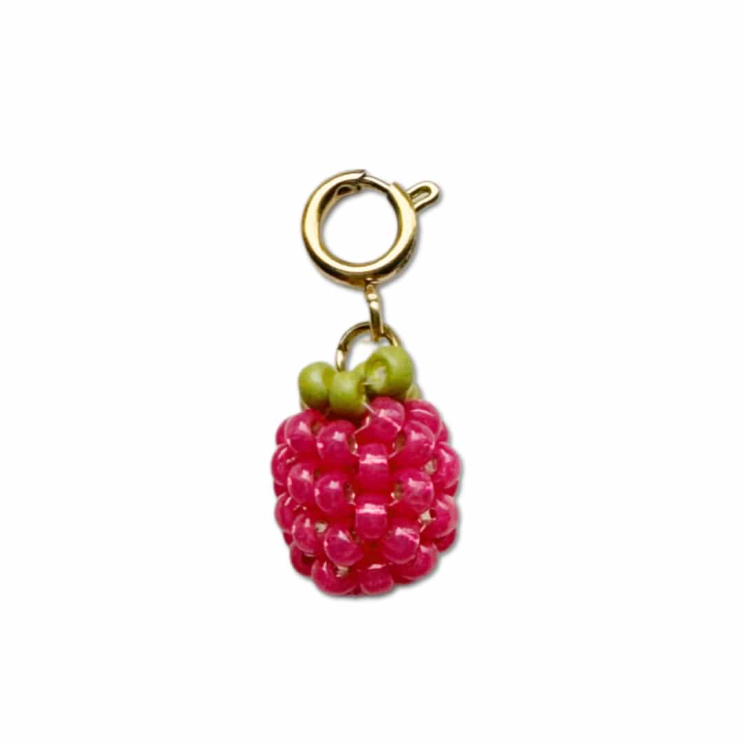 Bedel met roze framboos - Frutti